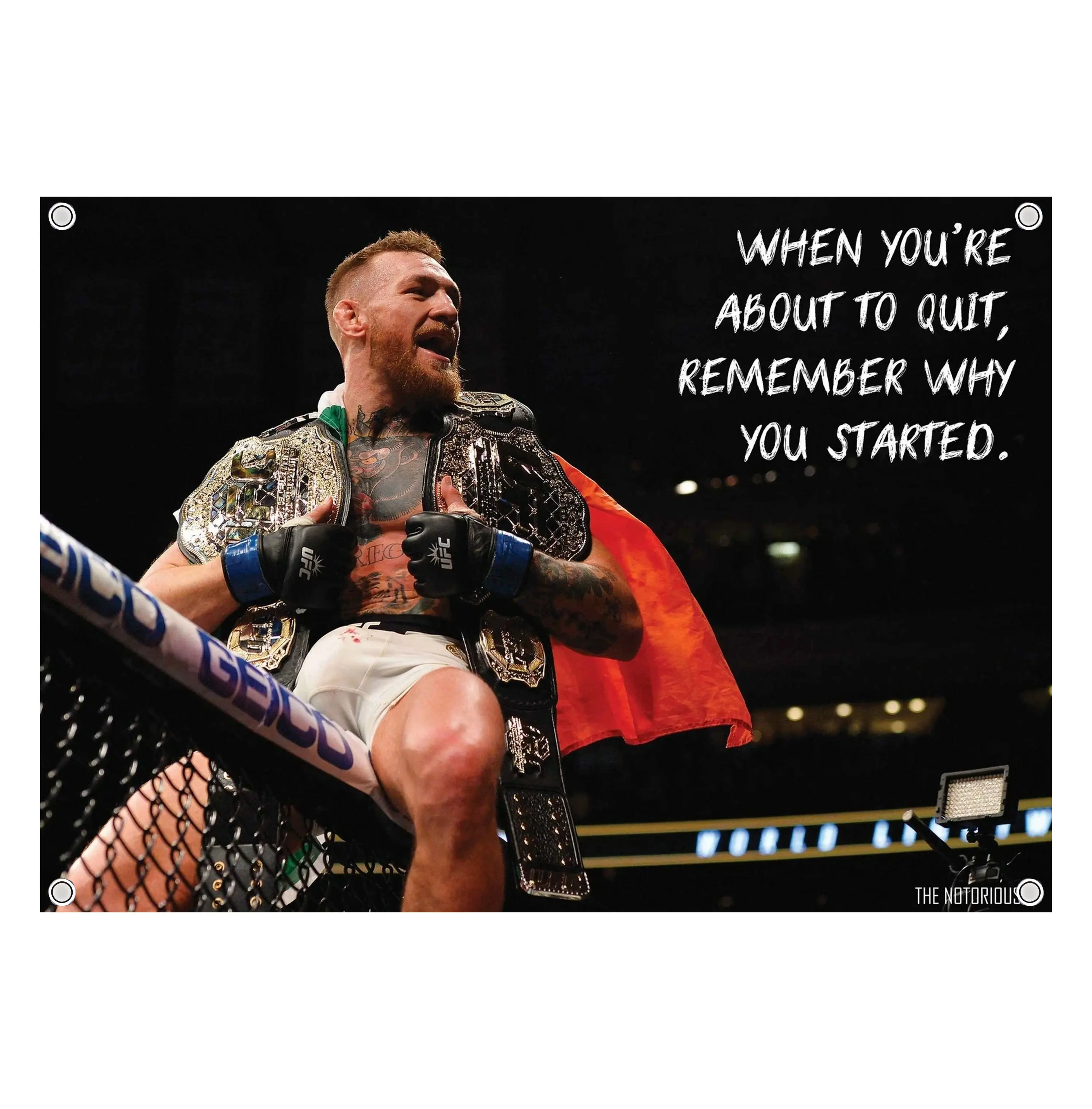 Conor McGregor "The Notorious" Graphic Flag - UFC MMA Flag - Ultimate Fighting Championship Wall Flag Banner, Vintage Fighter Room Decor, Fight Night Bedroom Decor, Gift for MMA Fans Men & Women