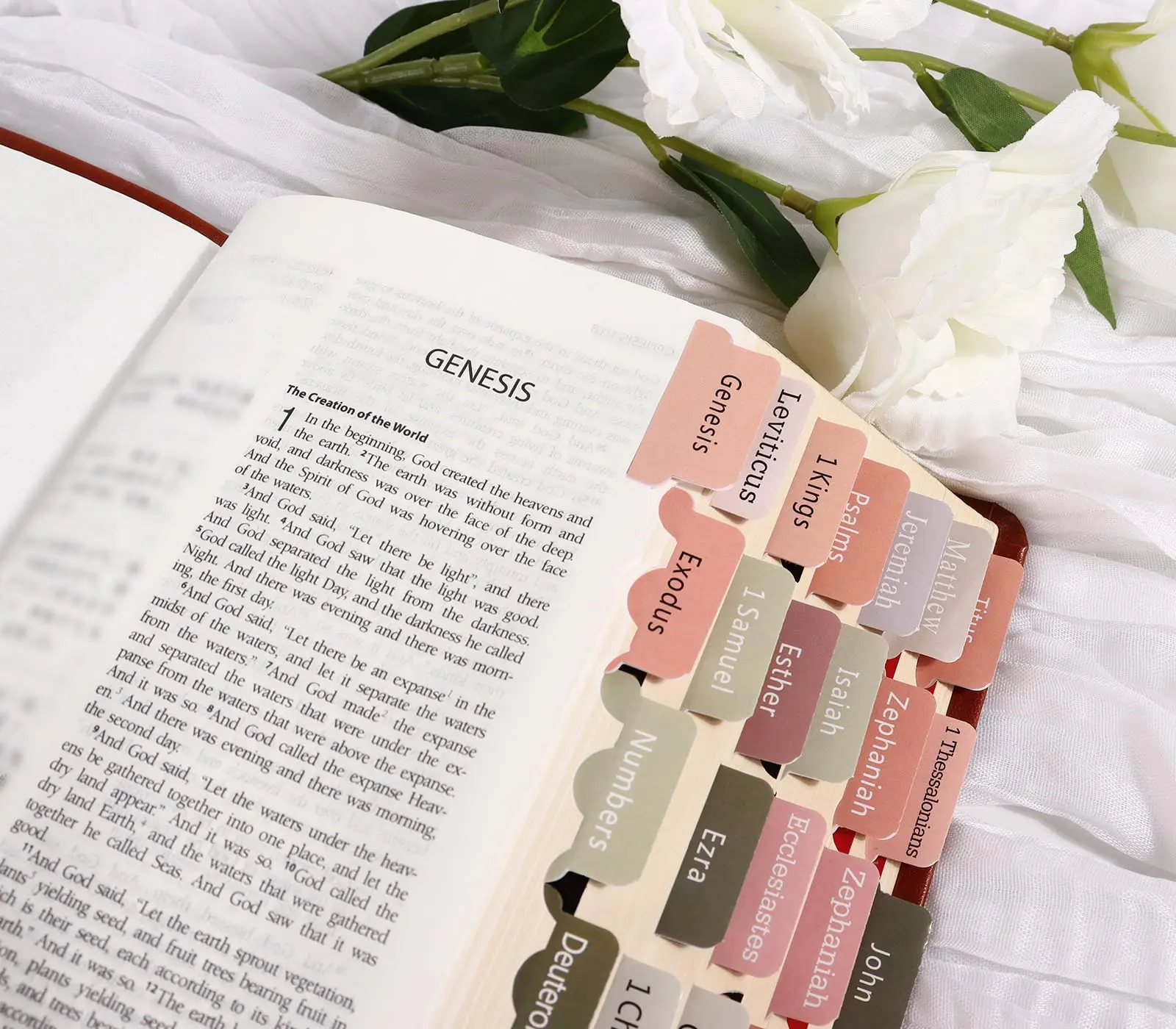 Neutral Bible Tabs - Unisex Bible Index Tags for Easy Study - TikTok Shop
