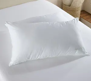 Waverly Set of 2 Down Alt Dual Performance Pillows- King