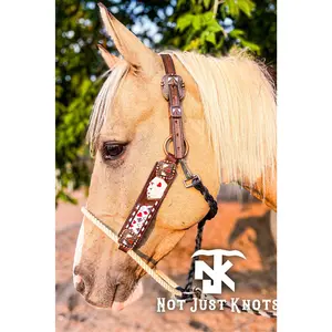 Custom Hybrid Lariat Halter