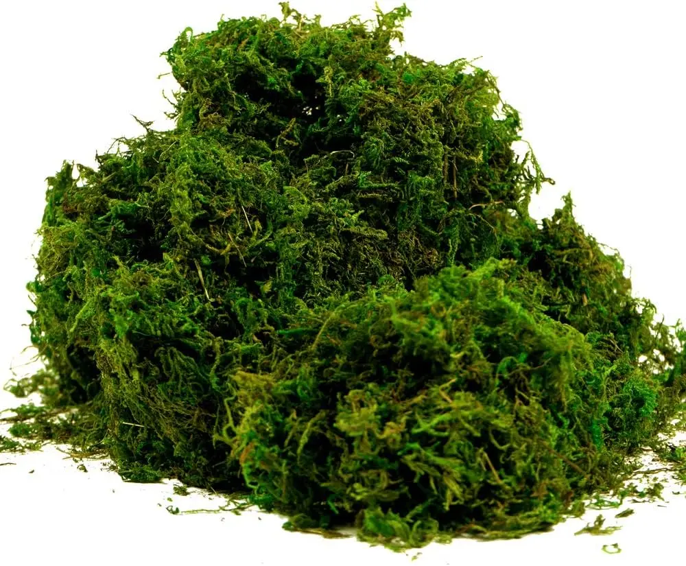 Artificial Moss  Green Grass for Centerpieces Home Kitchen Garden Decor (8OZ, Fresh)