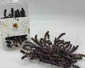 Freeze Dried Edible Basil Flowers
