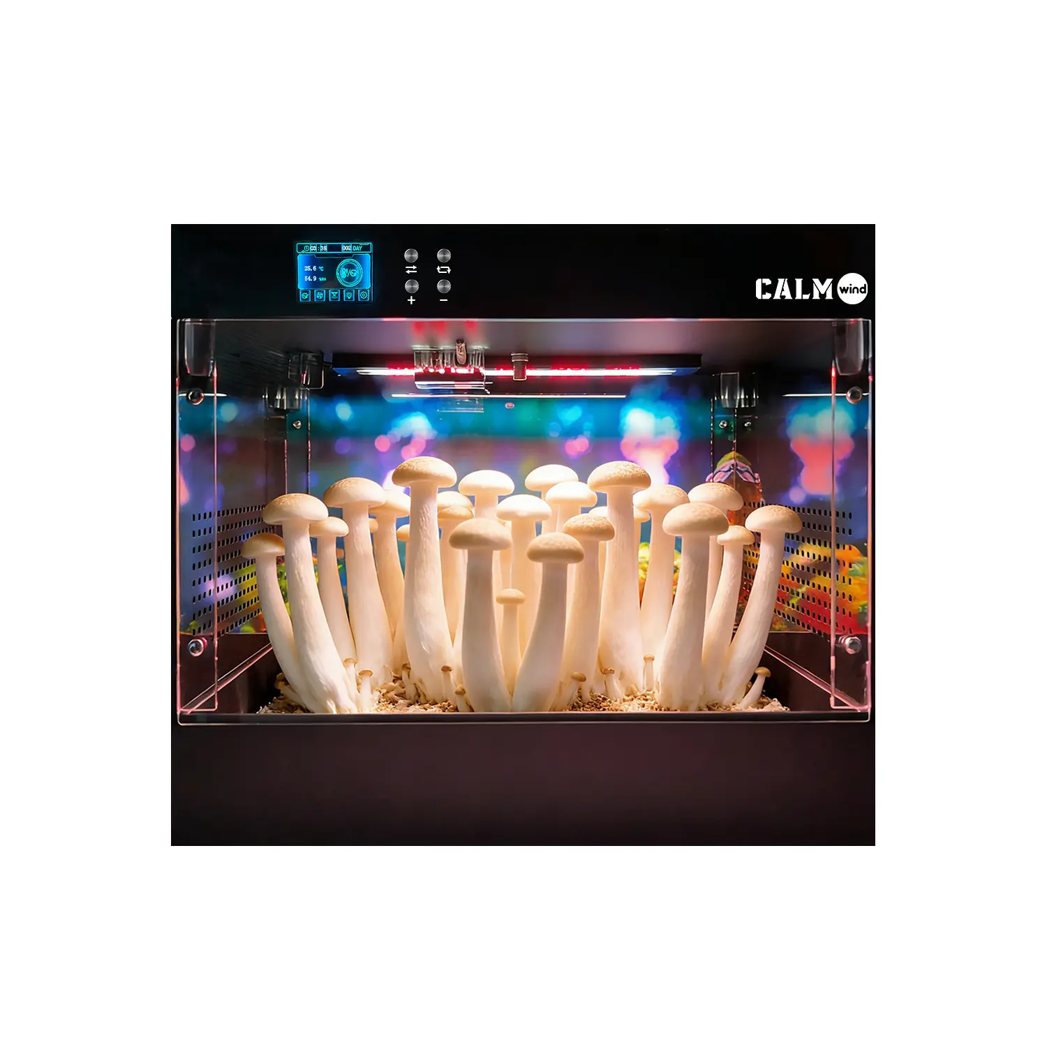 Indoor Smart Mushroom Growing Box Cultivation Equipment - Easy Grow Indoor Gardening System with Real-Time Temperature & Humidity Monitoring, Display Screen, Automatic Humidification, Ventilation, Spray, LED Plant Lights, Eco Mycology Supplies, Home, Grow