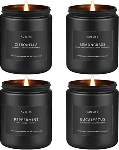 4-Pack Outdoor Citronella Candle Set - Summer Scented (Citronella, Mint, Eucalyptus, Lemongrass), Natural, Aroma, 28 oz, 200 Hours Burn Time, Home Decor, Indoor/Outdoor Use, Gift Option