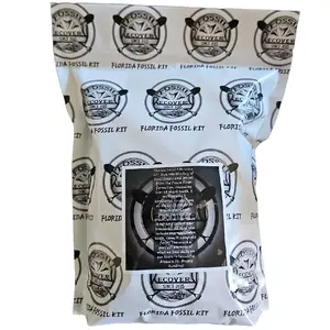 Florida Fossil Dig Kit-Includes Megalodon Tooth-Shark Teeth-Ice Age Fossils