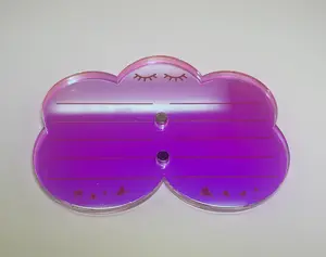 Iridescent Cloud Lash Palette Organizer