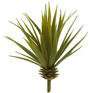 Mini Spiky Agave Succulent Plant (Set of 12) Mini Spiky Agave Succulent Plant (Set of 12)