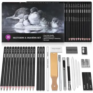 30 count Sketching Drawing Pencil Set,Sketch Pencils Art Supplies with Graphite,Charcoal,Blending Tools,Accessories,Drawing Kit for Adults Artists