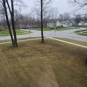 VEVOR 2-in-1 Electric Dethatcher and Scarifier Lawn Dethatcher 13-Inch /16inch  13 Amp