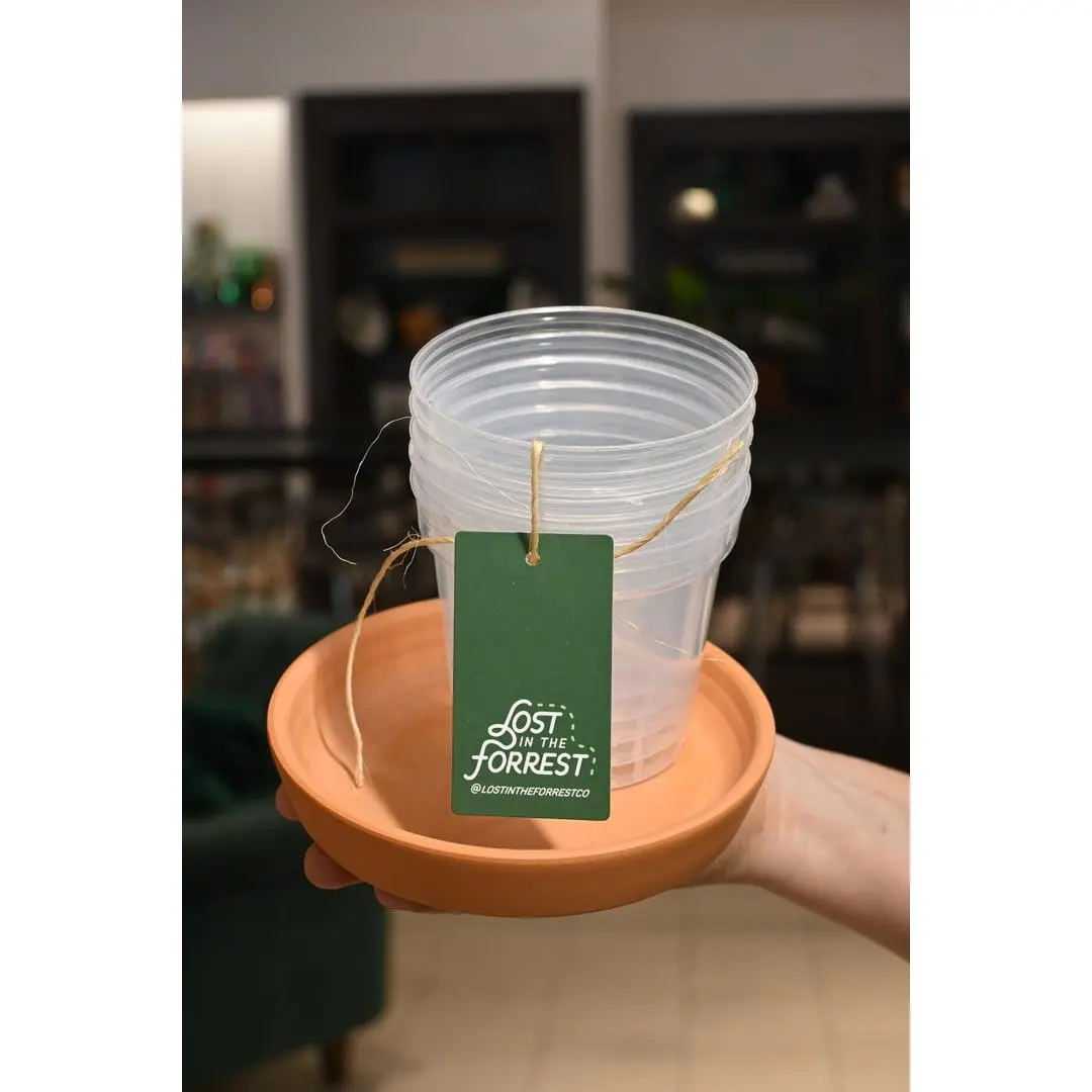 Clear Garden Nursery Pots, Home Planter for Indoor Plants and Nursery Seedlings (Garden Supplies) Indoor Pots For Plants Nursery Seedlings Pot