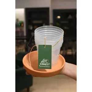 Clear Nursery Pots Clear Nursery Pots