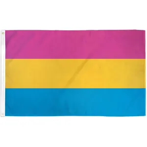 Pansexual Flag 4x6ft Pansexual Flag 4x6ft