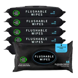 Plant-Based & Plastic-Free Flushable Wipes - 6 Packs of 48 Extra-Large Mint Flavor Wipes - Eco-Friendly Biodegradable & Natural Material