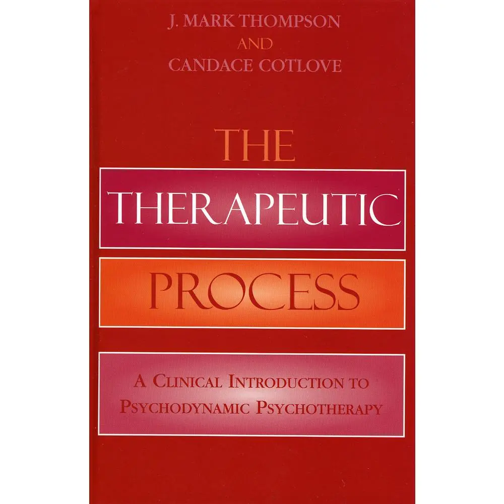 USED-The Therapeutic Process: A Clinical Introduction to Psychodynamic Psychotherapy by Thompson, Mark J. (Hardcover)