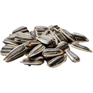 25lb Striped Sunflower Seeds – Non-GMO USA-Grown Feed for Birds & Wildlife