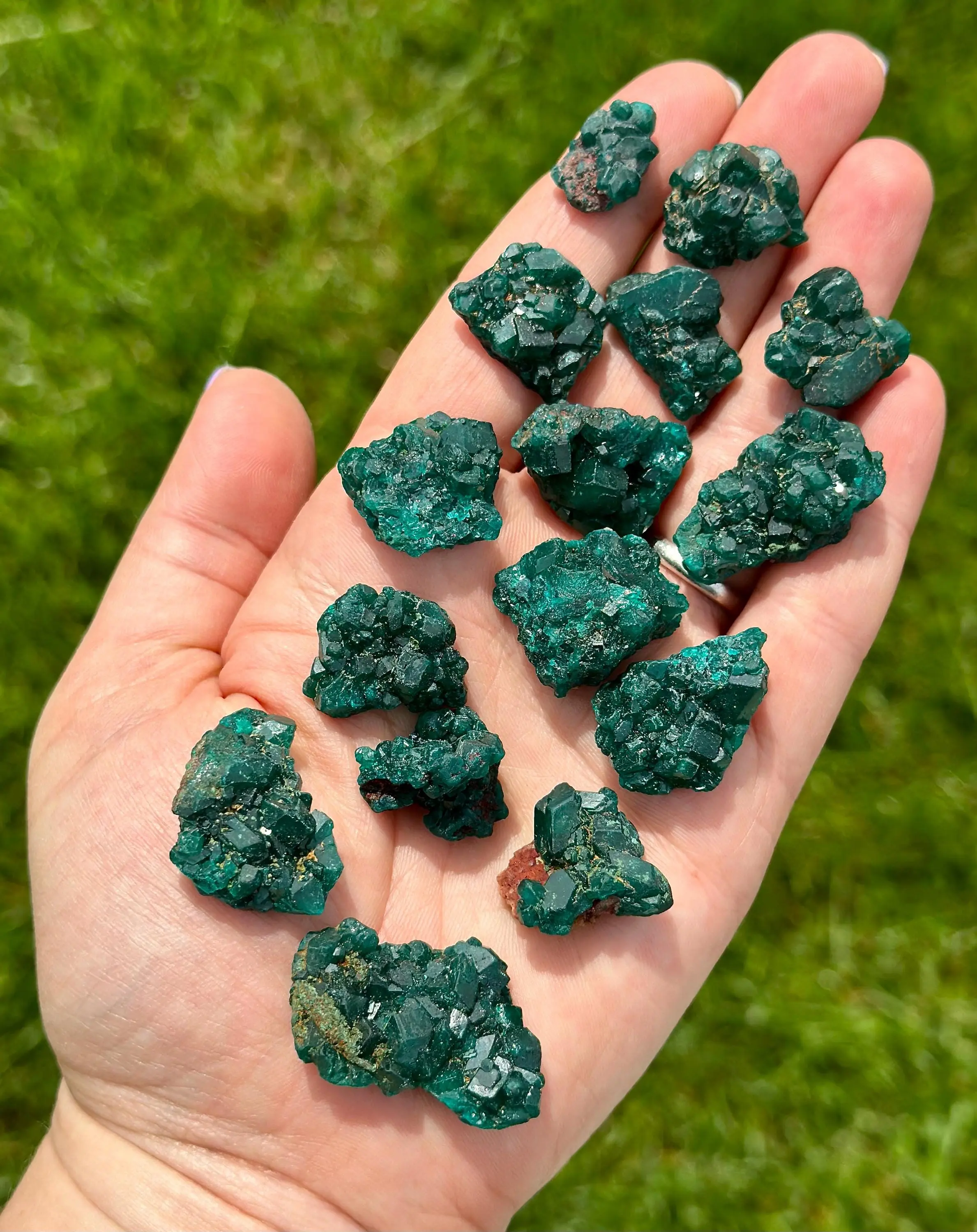 Raw Dioptase Crystal Specimen - Rough Dioptase Stone Cluster