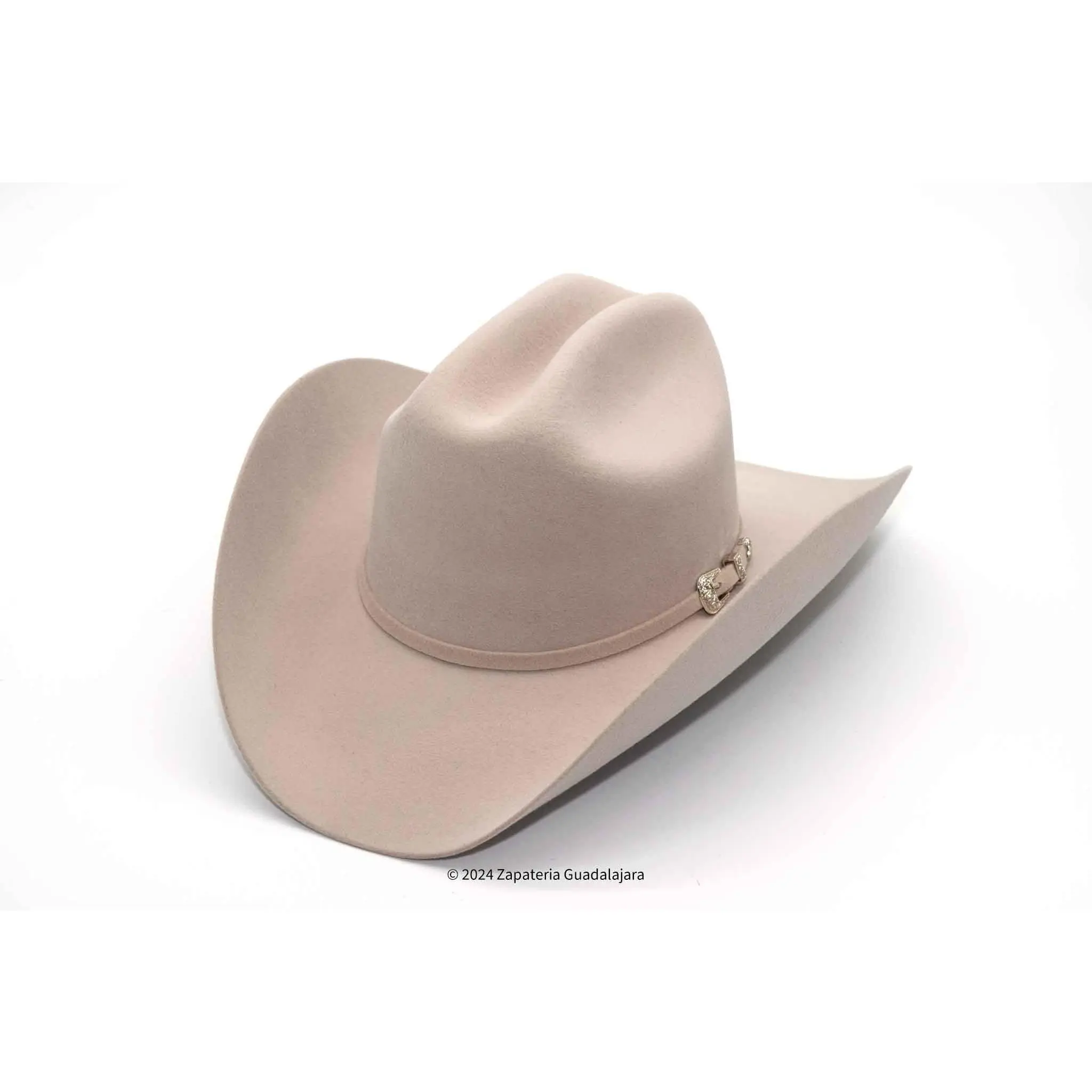 TENNESSEE 100X Silver Belly Wool western Hat