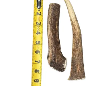 Antler Single Chew Small - Natural Antler Chew for Dogs up to 30 Pounds, Available in Various Cuts, Natural Source of Chewing Material