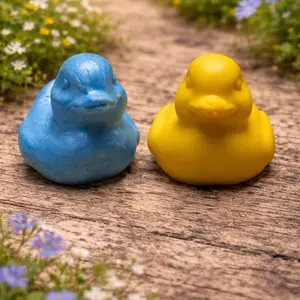 Duck Mystery Jewelry Wax Melt - Unique Wax Melt for Home Decor