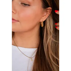 Twisted Hoop Earrings