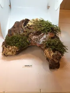 Arboreal Attitudes Weighted Ground Hides For Terrariums And Cages Large