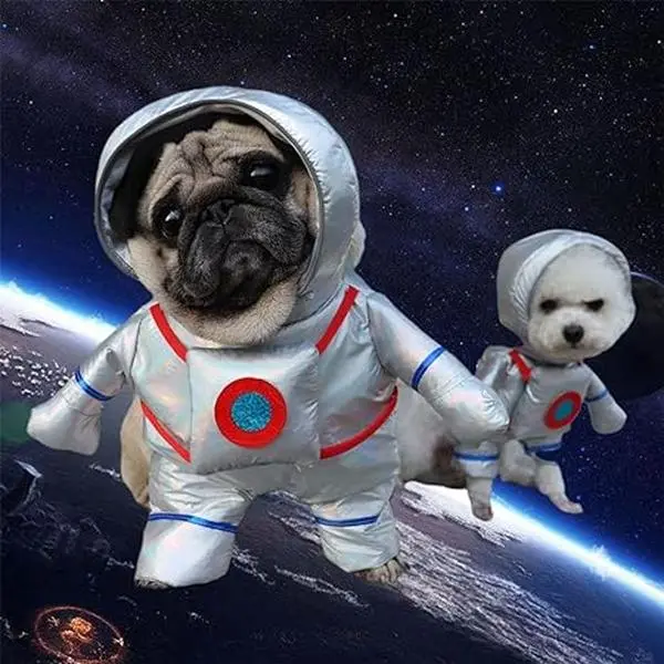 Dog Astronaut Costume: Blast Off to Adventure in Style!
