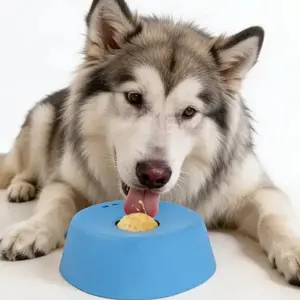 Slow Feeder Pet Bowl Anti-Choking