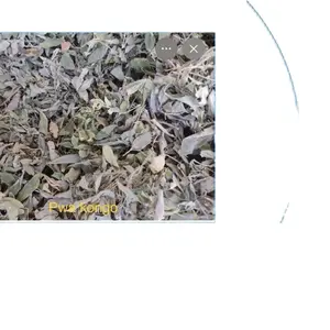 Dry Leave Fey Pwa Gongo - Authentic Herbal Leaves for Traditional Use,Haiti