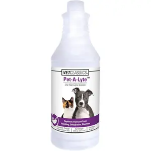 Oral Electrolyte Solution for Dogs and Cats – Helps Replace Fluids Lost from Pet Dehydration, Diarrhea, Vomiting – Replaces Dog Electrolytes – 32 Oz.
