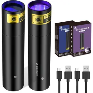 UV Flashlight 365nm Light and 395nm Blacklight, Mini  Woods Lamp USB-C Rechargeable, LED Ultraviolet Flashlights Pet  Detector for Rock, Uranium Glass,  Curing, 2 Pack