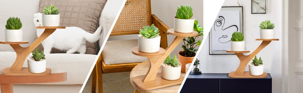 3-Tier Bamboo Succulent Planter Set - Aesthetic Desk Plant Stand Gift with 3 Ceramic Pots
