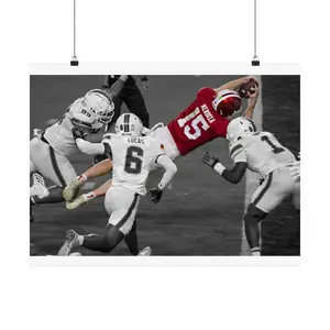 [Poster No Frame] Retro Indiana Flyman City Sport Champions Graphic Poster (Frame not included ), Fan Aesthetic Prints Lover Fan Gift for Friend