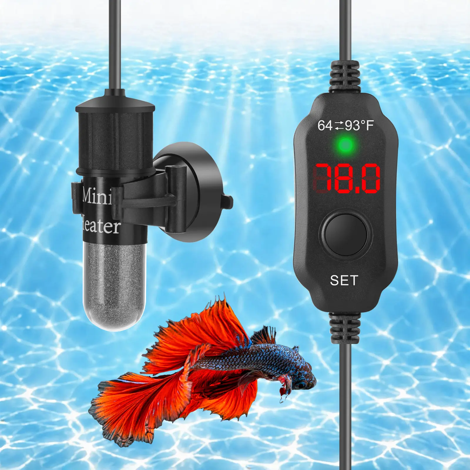 AquaMiracle Super Mini Aquarium Heater (10/20/30W) for Small Freshwater Tanks, Turtles | Digital Display Thermostat with Memory Function, Dry-Run & Overheat Protection, Temperature Control, Digital Readout Shows Set vs Current