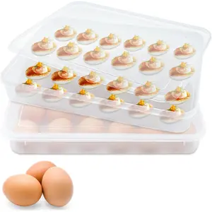 2 Pack Deviled Egg Trays,Stackable Plastic Egg Holder for 48 Eggs,Clear Egg Storage Containers for Fridge,Keep ,Easter,Thanksgiving Day Party Kitchen Supplies
