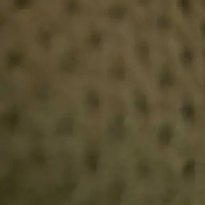 Lush Decor Ruffle Skirt Bedspread Set - Solid Color, Soft & Luxurious, Lightweight, Ideal for Spring & Summer, Available in Multiple Colors, 30-Inch Drop, OEKO-TEX Certified, Perfect for Any Bedroom or Dorm Room