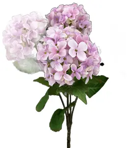 Hydrangea Bush x 5 H20  in Pink