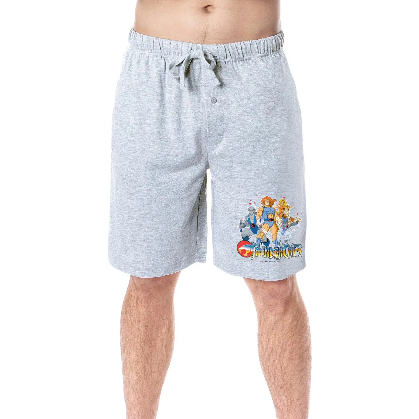 ThunderCats 1985 Mens' Classic TV Show Characters Lion-O Cheetara Tygra Panthro Sleep Pajama Shorts