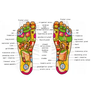 Foot Reflexology Chart 1 Poster No Frame, Therapy Posters, Acupressure Posters, Massage, Relaxation