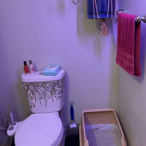review image 9