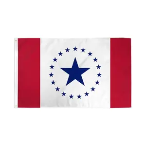 3x5ft Polyester Dye-Subbed Mississippi (Stennis) Flag Banner - Bold Colors, Hangable Print, for Home Supplies, Festive Party Decorative Backdrop