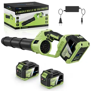 Cordless Leaf Blower - 650 CFM Brushless Electric Leaf Blower with 2 x 6.0Ah Batteries & Fast Charger, 2 Speed Modes, Battery Powered Leaf Blowers for Lawn Care, Patio, Dust, Snow Care (Light Green)