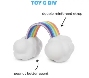 Barkbox Dog Toy Rainbow Super Chewer Tug Toy for Aggressive Chewers