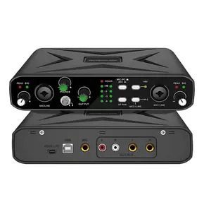 Kaschun Audio 2-Channel Interface with 48V Phantom Power for Recording & Streaming, USB Connectivity, Black Color