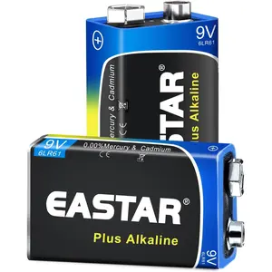 9V Batteries 2-Pack, Alkaline 9 Volt Battery with Long-Lasting Power, 10-Year Shelf Life 6LR61 Square Battery for Smoke Detectors, Household & Office Devices