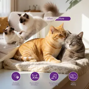 Cat Calming Pheromone Diffuser Set Whole Home 3-Pack 3 Diffusers + 3 x 48ml Refills Helps Reduce Spraying & Fighting Unscented Stress Relief for Large Homes & Multi-Cat Areas