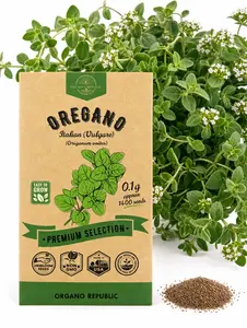 Italian Vulgare Oregano Seeds