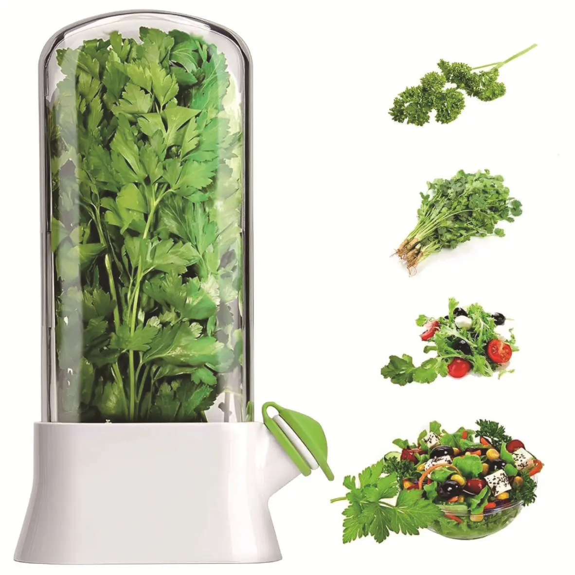 Herb Keeper for Refrigerator - Shatterproof Anti-Crush Preservation Style, Eco-Friendly Fresh Herb Preserver, Perfect for Cilantro, Asparagus, Thyme & Greens Storage, Preserving Containers, Produce Storage Containers, Food Storage, Kitchen Food Storage