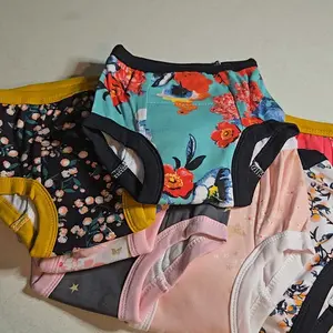 BIG ELEPHANT 10 Pcs Soft Cotton Potty Training Pants for Toddlers – Absorbent Training Underwear for Boys & Girls