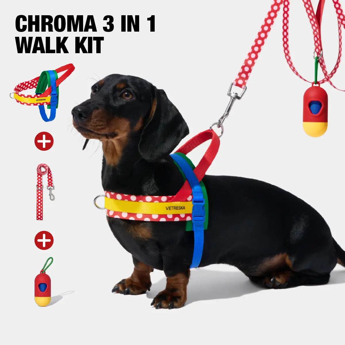 VETRESKA MoMA Dog Harness and Leash Set, Easy Walk Dog Harness for Small Medium Dogs, No Pull Puppy Harness for Walking and Training, Adjustable, Take Control & Anti-Twist Pet Lead Combo