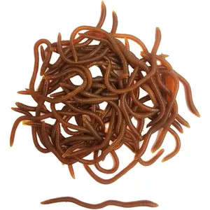 1.6in/3.3/3.9in Fishing Soft Lure Trout Worm Earthworm Bait Lifelike Fake Bloodworm Grub Worm Soft Fishing Lure Baits